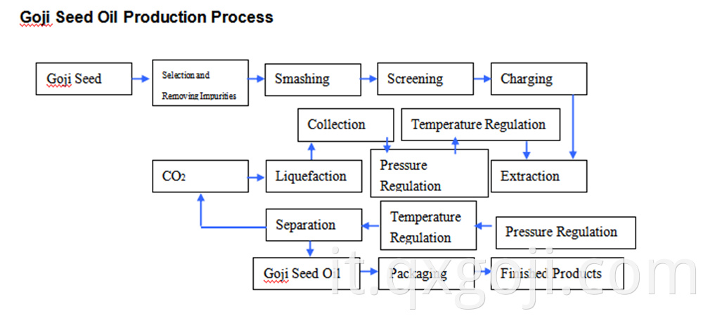 Prodtction Process Of Goji Seed Oil